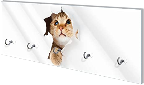 Wallario Wandgarderobe aus Glas in Größe 80 x 30 cm mit Memoboard-Funktion, Motiv: Katze mit Blick nach Oben | 5 Kleiderhaken zum Aufhängen von Jacken