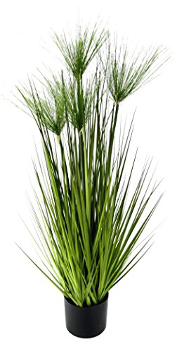 Flair Flower Zyperngras Im Topf, Kunststoff, Grün, 100 x 30 x 30 cm