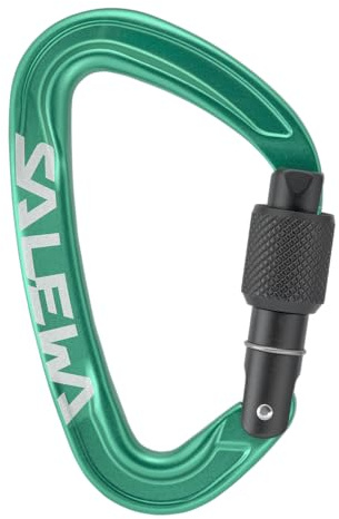 Salewa Ortles-Schraubkarabiner, Grün