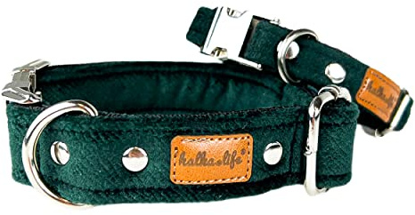 Hundehalsbänder aus Samt – Dickes und langlebiges Halsband für Hunde – Starke Metallschnalle und leicht zu reinigendes Hundehalsband – Hergestellt in der EU (Flaschengrün, M (2,5 cm / 27-44 cm))