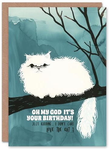 Artery8 Persian Pet Don't Care From The Cat Funny Cheeky Blank For Him Or Her Art Birthday Card