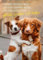 Gutsch Verlag Freundschafts-Postkarte mit Hunden: Umarmung & Zuneigung, Trost-Spruch für Liebe und Geborgenheit, Kuschelnde Fellnasen - Tierische Aufmunterung