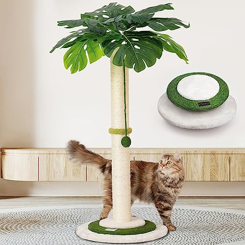 Poste rascador para gatos, poste rascador con bola colgante y poste rascador para gatos de 35 pulgadas de alto con cuerda de sisal para interiores grandes y gatitos
