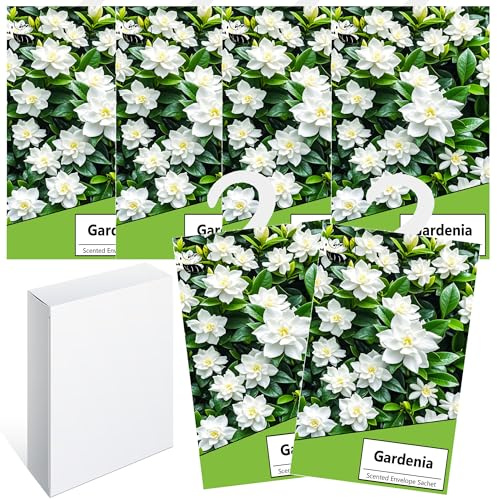 6pcs Wäscheduft Schrank Duftsäckchen Kleiderschrank Dufterfrischer, Schrankduft Frische, Duftbeutel Kleiderschrank Duft Hanging Beutel, Schrankdeo Natürlichen Geruch Sachet (Gardenie)