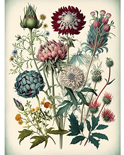 Artery8 Ernst Haeckel Style Vintage Botanical Plant Study Modern Watercolour Painting Illustration Unframed Wall Art Print Poster Home Decor Premium