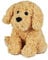 Warmies Cockerpoo Junior Plush Microwave Heat Pad, hot or Cold Soft Cockapoo Dog Toy with French Lavender Scent, Cuddly Soft Heat Cushion Suitable for Adults and Children