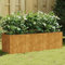 Iiaky Jardinera Acero corten 120x40x40 cm Jardineras Grandes Huerto Urbano Exterior
