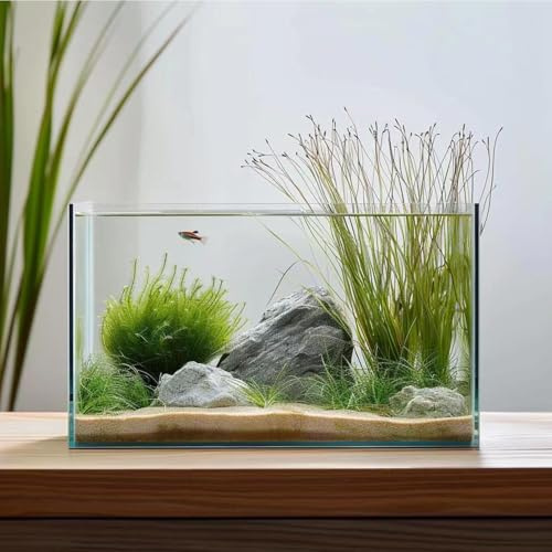 1,9 l Glas-Fischtank, leicht zu pflegen, kleines Aquarium für Betta/Goldfisch/Schnecken/Garnelen und Wasserpflanzung.