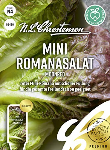 Mini Romanasalat Moonred, roter Mini-Romana mit schöner Füllung, Samen
