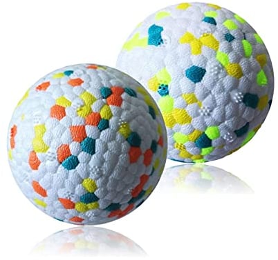 CAISHOW 2Pack Dog Ball Toys Indestructible Dog Ball Float On Water Fetch Bouncy Durable Solid Rubber Ball For Puppy Small And Medium Dogs Playing Toys (2Pcs-2.55'')