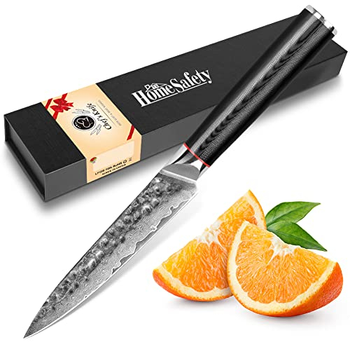 Damascus All-Purpose Knife 12.5 cm 67 Layer VG-10 Damascus Steel, Damascus Fruit Knife Professional Chef's Knife Damascus Paring Knife with Ergonomic Handle