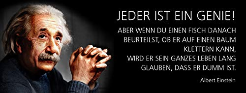 Blechschild 27x10 cm Einstein: Jeder ist ein Genie ! Aber wenn du einen Fisch danach beurteilst, ob er auf einen Baum klettern kann, wird er sein ganzes Leben lang glauben, dass er dumm ist! - Deko7