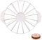 YCZCHE14 Diviseur de Tarte Trancheuse de Gâteau en Plastique Diviseur de Gâteaux Rond Diviseur de Tarte Outil de Coupe de Gâteau 14/16 Pièce pour Gadget Service de Gâteau Ronde Blanc 1 Pièce