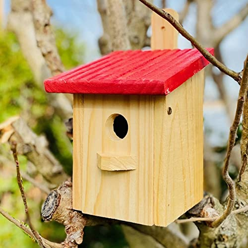 DARLUX Flachdach Nistkasten Vogelhaus Brutstätte für kleine Singvögel Holz Natur/Rot