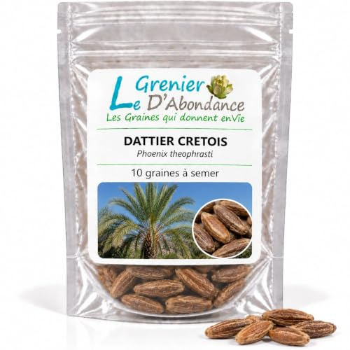 10 graines à semer - Le Grenier d'Abondance - DATTIER CRETOIS - Phoenix theophrasti