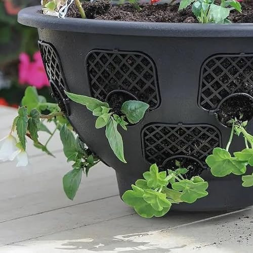 GardenersDream Hanging Baskets Outdoor Plastic with Easy Fill Removable Windows (1, 12)
