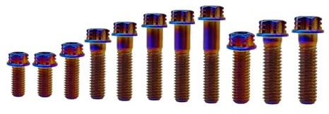 RISON-Titanium 63 Pezzi Viti in Titanio per Moto Motore e Telaio, M6 M8 Viti per Disco Freno, Bulloni Pinza Torx Carrozzeria Moto Bulloneria di Fissaggio per KTM EXC 125 2008-2012