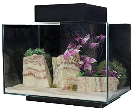 Aqua One PLATFORM 21 Aquarium Fish Tank 40cm 21L