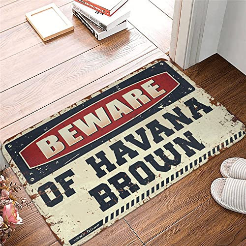 Tapis d'extérieur pour l'entrée de la maison Méfiez-vous de la Havane Tapis marron décoration de salle Bar Décorations pour homme grotte (taille : 40 x 60 cm)