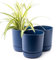 Home Garden Ornaments Large Plant Pots Indoor – Classy Indoor Plant Pot Set of 3 with Drainage Holes, Saucer and Reservoir, Self Watering Flower Pots (Diameter: 13cm, Colour: Blue)