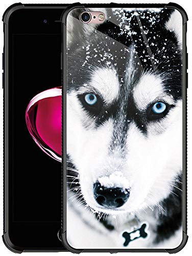 CARLOCA iPhone 6 Hülle, harte Rückseite, individuelle iPhone 6S Hüllen, Husky Hund Maulkorb Blau Augen Muster Design Stoßfest Anti-Kratz-Hülle für Apple iPhone 6/6S 4,7 Zoll