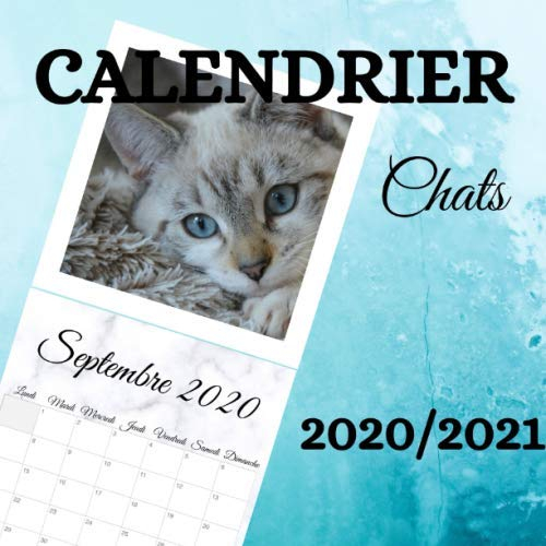 Calendrier 2020/2021 CHATS: Calendrier de Bureau Mural Mensuel - Septembre 2020 à Décembre 2021 – 21 cm x 21 cm