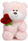 BEJOY Orsacchiotto di peluche con cuore rosa, peluche per San Valentino, orsetto di peluche, regalo per fidanzata, bambini, compleanno, San Valentino (rosa, 40 cm)