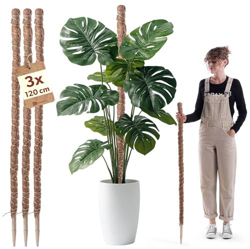 KADAX Monstera Rankhilfe – 3er Set Pflanzstab aus Kokosfaser (120 cm), Kokosstab & Moosstab für Zimmerpflanzen, Kletterhilfe & Pflanzenstütze für Innen- und Außenbereich