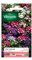 Vilmorin - Paquete de semillas Variedad Verbena Brio