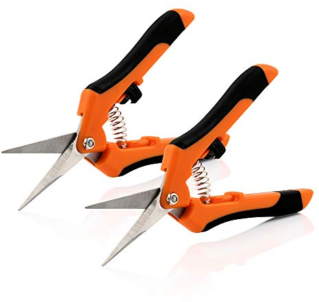 Zelsius 2er Set Ernteschere | Gerade, Spitze Klinge | Orange/Schwarz | Gartenschere Rosenschere Pflanzenschere Leseschere Grow Schere