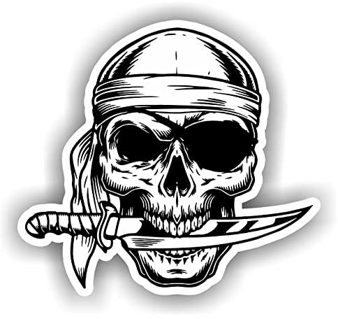 EXPELIA ADESIVO SAGOMATO TESCHIO PIRATA MOD.220 IN PVC ADATTO PER AUTO MOTO PC CAMPER