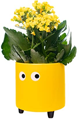 FISURA- Original-Blumentopf mit Augenmotiv. Dekoratives Pflanzgefäß für den Innenbereich. Keramik Sukkulenten Töpfe. Keramiktopf für Blumen und Sukkulenten. 13 x 12,5 cm. (Gelb)