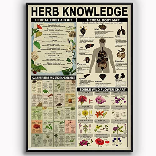 Herb Knowledge Metall-Blechschild, Vintage-Stil, Kräuter-Erste-Hilfe-Set, Retro-Poster, Apotheker, Studienführer, Zuhause, Küche, Café, Pub, Männerhöhle, lustige Wandtür, Dekoration, Plakette, 20,3 x