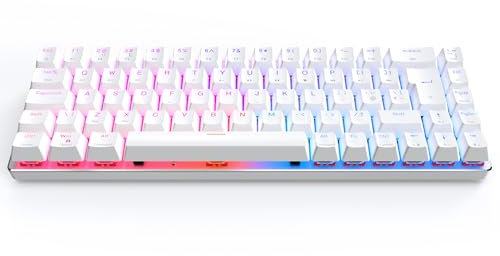 CIY X79 65% Wireless Mechanical Keyboard/RGB Gaming Keyboard/Hot Swappable/Anti Ghosting/N-Key Rollover/UK Layout 69 Key/Wired Keyboard for Mac Windows