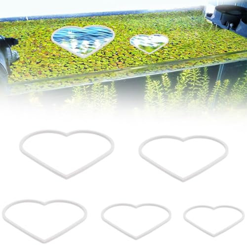 AFCJLTO 5 Anillos Flotantes para Plantas de Acuario - Corral de Espuma para Alimentación y Sujeción de Plantas Flotantes - Mantén tu Acuario Ordenado y Estable (Blanco)