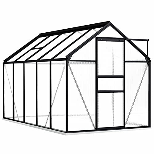 ZEYUAN Serre avec Cadre de Base Anthracite Aluminium 5,89 m²,Carport Abri Voiture,Serre Tunnel