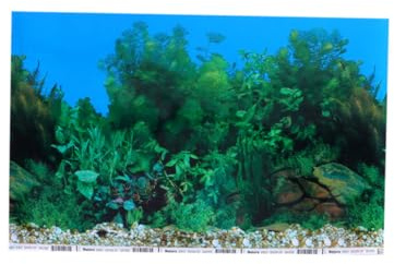 VERDANVERSE Aquarium Hintergrundfolie Selbstklebender Unterwasser-dekosticker für Glasfische Glasdekor Meeresszene für Aquarien und Terrarien