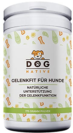 DOG NATIVE GelenkFit für Hunde, hochdosiertes Gelenkpulver mit Grünlippmuschel, MSM, Chondroitin & Kollagen, natürliches Pulver für Gelenke, 175g