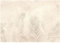 WallArena - Vlies Fototapete Blätter Pflanzen Creme Beige Tropische 416x290 cm - Fototapeten - Tapeten - für Wohnzimmer Schlafzimmer - Vliestapete Wandtapete Tapete 3D Effekt- inkl. Kleister