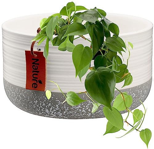 KADAX Maceta, maceta de cerámica en 2 variantes de color, maceta con relieve decorativo, maceta de cerámica, maceta para plantas de interior (17 x 9 cm, blanco)