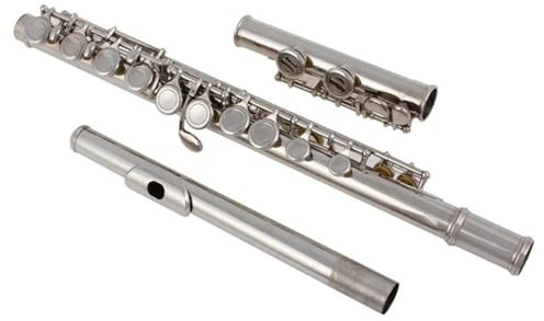 Flauto Traverso Strumenti Strumenti Per Flauto Traverso Tono C A 16 Fori Chiusi Placcati In Argento Con Custodia