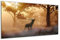 DARO Design - Wand-Bild auf 6mm HDF 50x70 cm Hirsch - Wand-Deko Bilder Geschenk