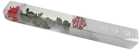 Green Creations Rosa Vera Stabilizzata Rossa a Gambo Lungo