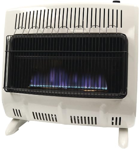 Mr Heater 30,000 BTU Vent Free Blue Flame Dual Fuel Heater