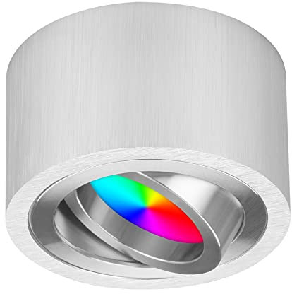 TEVEA LED Smart Flach Aufbauspot | 5W 230V RGBW Dimmbar | LED Modul austauschbar | Aufbauleuchte Farblicht Partyleuchte (Silber-Gebürstet)