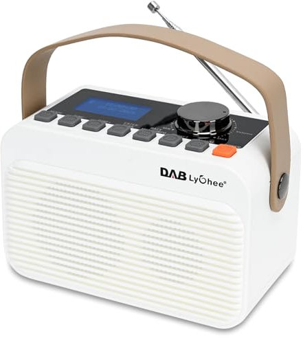 Lychee Radio FM digitale DAB/DAB+ BT, radio portatile ricaricabile, display a LED, supporto per la riproduzione di schede USB e TF