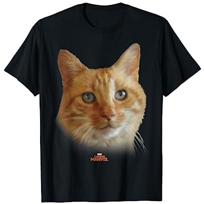 Marvel Captain Marvel Goose Cat Face Portrait T-Shirt