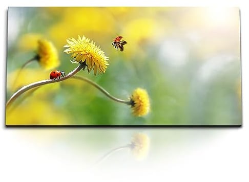 Paul Sinus Kunstdruck Bilder 120x60cm Löwenzahn Marienkäfer gelbe Blume Frühling Natur