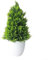 GeRRiT Künstlicher Weihnachtsbaum, Bonsai, künstlicher Weihnachtsbaum, Bonsai, künstlicher Weihnachtsbaum, Bonsai, Kunststoff, grüne Pflanze, künstliche Blume, Topfdekoration, kleine Heimdekoration #4