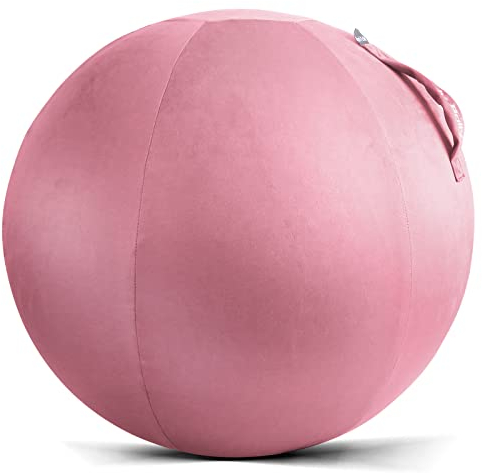 Howdy Bally Schutzballabdeckung für den Heimgebrauch Yoga,Trainingsball,Balanceball mit praktischen Tragegriffen, faltbare, Bürogebrauch, 65 cm